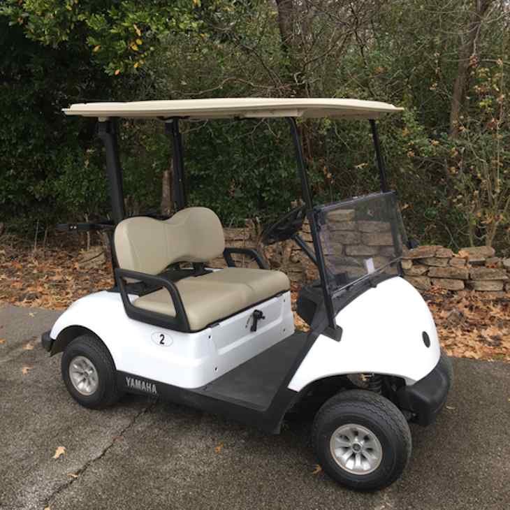 Tournament Fleet for sale at SnappyGolfCars